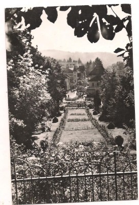 #carte postala(ilustrata)-GOVORA-vedere din parc foto