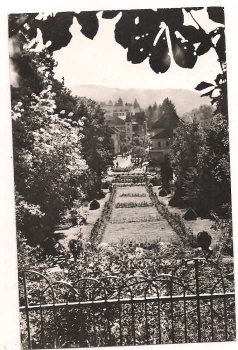 #carte postala(ilustrata)-GOVORA-vedere din parc