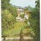 #carte postala(ilustrata)-GOVORA-vedere
