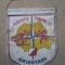 federatia romana de orientare RSR fanion de colectie comunist anii &#039;80 vechi rar