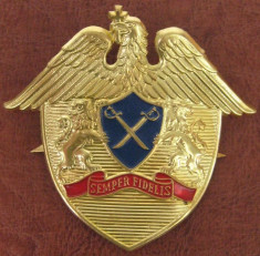 emblema militara 9 (ofiter SPP) foto