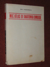 Mic atlas de anatomia omului - Dem. Theodorescu (1982) foto