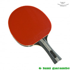 Paleta tenis de masa Adidas TOUR CARBON - competi?ie ITTF - lemn 5 straturi - fete lipite - ro?u foto