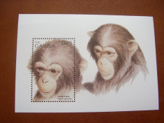 Gambia 1996 fauna maimute mi bl.285 MNH foto