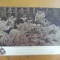 Propaganda comunista Laborator de selectiune a graului din Lvov R. S. S. Ucraina 1948