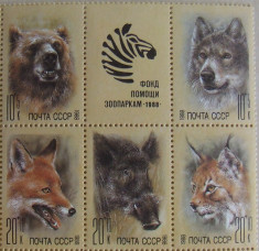 RUSIA 1988 - ANIMALE SALBATICE , 5 VALORI NEOBLITERATE - E1844 foto