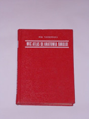 MIC ATLAS DE ANATOMIA OMULUI- DEM. THEODORESCU- CARTONATA foto