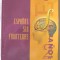 ESPANOL SIN FRONTERAS, Libro del Alumno. Nivel Intermedio- Spaniola, nivel mediu