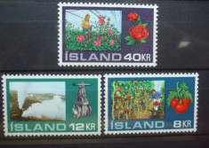 ISLANDA 1972 - FLORI SI LEGUME, serie nestampilata D83 foto