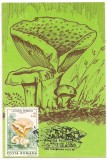 Ilustrata maxima-CIUPERCI-Lactarius pipersatus, Romania de la 1950, Natura