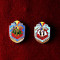 21. SET INSIGNE MILITARE VECHI DE ARTILERIE