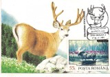 Ilustrata maxima-ORADEA -Sa cunoastem sa protejam-Odocoileus virginianus, Romania de la 1950, Natura