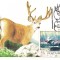 ilustrata maxima-ORADEA -Sa cunoastem sa protejam-Odocoileus virginianus