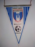 Fanion Asociatia Sportiva Mecanica Fina - Steaua Bucuresti