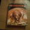 DOBROGEA - Album Ion Miclea - 1978, 101 p.+ ilustrtii; hartie cretata