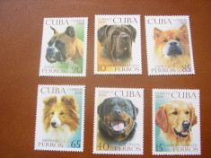 Cuba 2008 caini mi 5122-5127 MNH foto