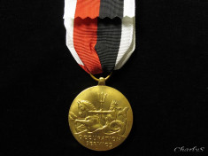 USA NAVY OCCUPATION SERVICE MEDAL foto