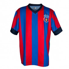 Tricou Steaua ros-albastru 2013 foto