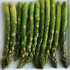 VAND SEMINTE DE SPARANGHEL (asparagus) foto