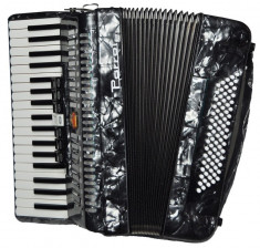 Acordeon Parrot 1309 GRAY foto