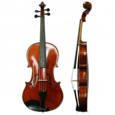 Flame 1433 Viola 16,5 inch foto