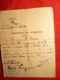 Certificat Alegator 1945