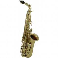 Saxofon Alto Roy Benson AS-302 foto