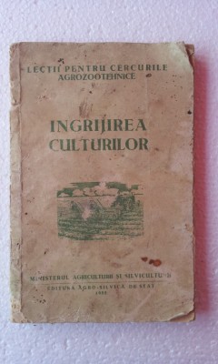 INGRIJIREA CULTURILOR foto