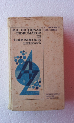 MIC DICTIONAR INDRUMATOR IN TERMINOLOGIA LITERARA foto