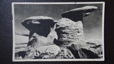 CP - Vedere - Babele - foto
