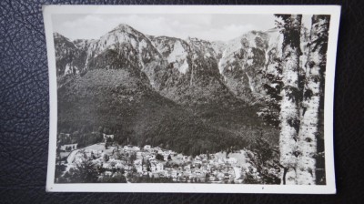 CP - Vedere - Busteni foto