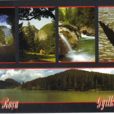 Carte Postala HG004 Lacu Rosu