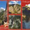Carte Postala HG008 Cheile Bicazului