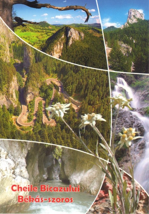 Carte Postala HG010 Cheile Bicazului