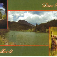 Carte Postala HG005 Lacu Rosu