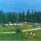 Carte postala CP CV007 Covasna - Vale zanelor - necirculata