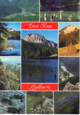 Carte Postala HG006 Lacu Rosu foto