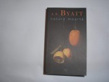 A.S .BYAT NATURA MOARTA,R8