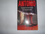 SAN ANTONIO -LUPUL TRAVESTIT IN BUNICUTA,,R8, 2014, Univers