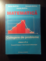 Culege exercitii matematica clasa a X-a foto