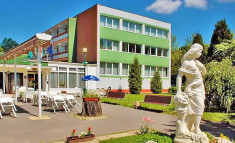 Komfort Hotel Platan Harkany, Ungaria - 2 nop?i 2 persoane in cursul saptamanii cu demipensiune, cu intrare de 1 zi la baile balneare foto