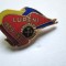 Insigna frumoasa de Miner: &quot;Lupeni 1929-1979&quot;