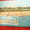 Maxima - Neptun - Plaja 1974