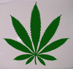 Sticker - Autocolant - Abtibild - Marijuana foto
