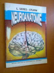 NEUROANATOMIE - L.SERES-STURM (1993) foto