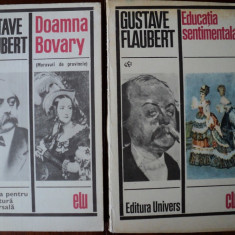Doamna Bovary, Educatia sentimentala / Gustave Flaubert