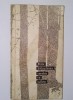 Corabia cu suflete - Petre Salcudeanu, Ed. Tineretului 1967, Roman, Beletristica