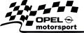 STICKER - Opel Motorsport / COD - AUTO_040 / ORICE CULOARE / ORICE STICKER LA COMANDA foto