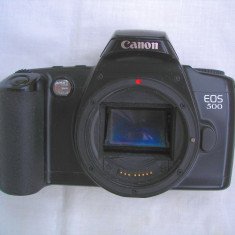 Cutie Canon EOS 500
