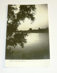 Carte postala / ilustrata - NATURA - RAURI - ARAD - PE MALUL MURESULUI - circulata 1960 - 2+1 gratis toate produsele la pret fix - RBK5500 foto